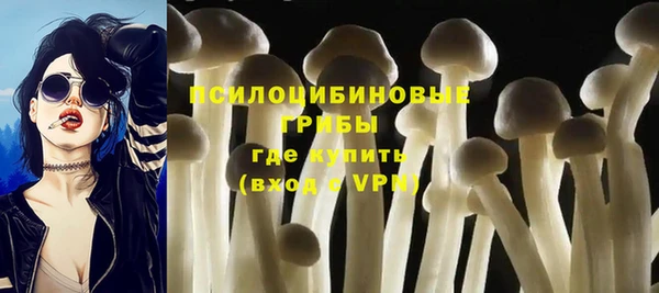 сатива Балабаново