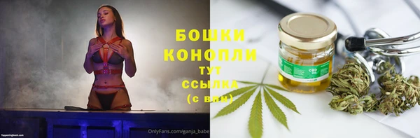 сатива Балабаново