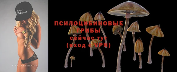 синтетический гашиш Балахна