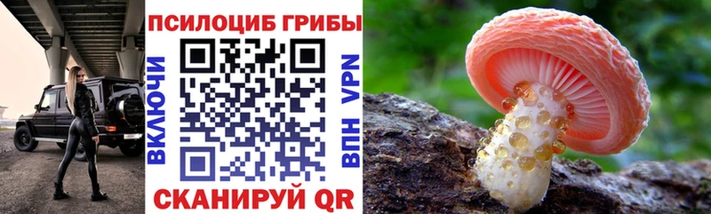 Галлюциногенные грибы MAGIC MUSHROOMS площадка состав Суоярви